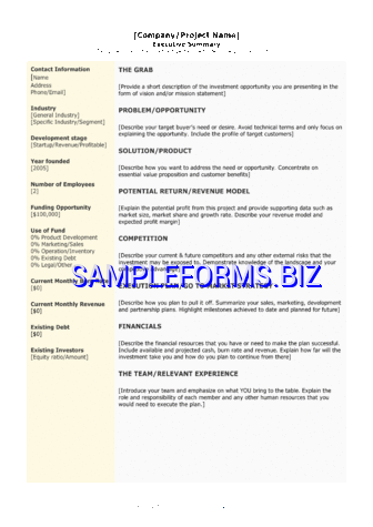Executive Summary Template 3 pdf free